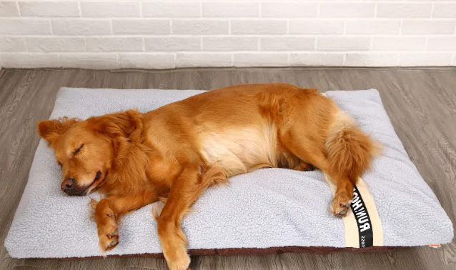 Plush Pet Bed